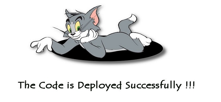 4 Points to Remember During Code Deployment of Your Business Software!