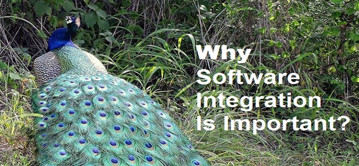 Top 5 Reasons Why Software Integration Is Very Important?