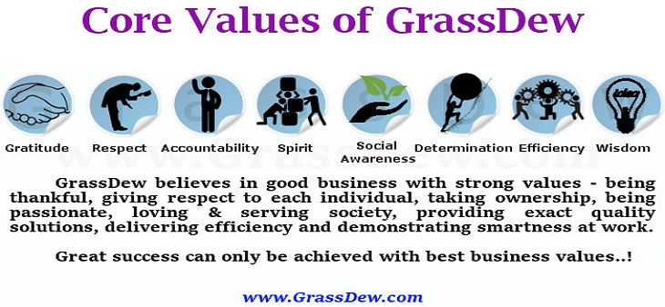 8 Core Values of GrassDew IT Solutions