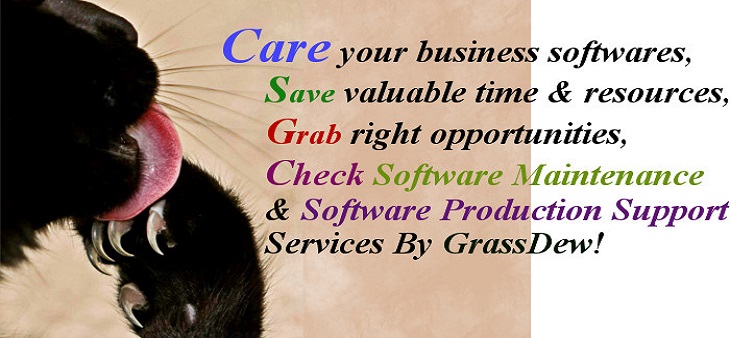 5 Benefits of Perfective Software Maintenance by GrassDew